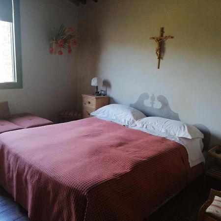 Casetta Dell'Uliveto Macchiascandona Ngoại thất bức ảnh